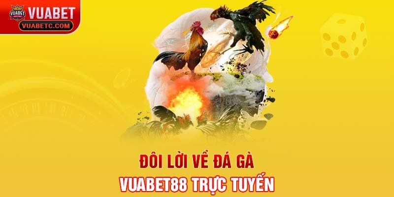 Đôi lời về đá gà Vuabet88 trực tuyến