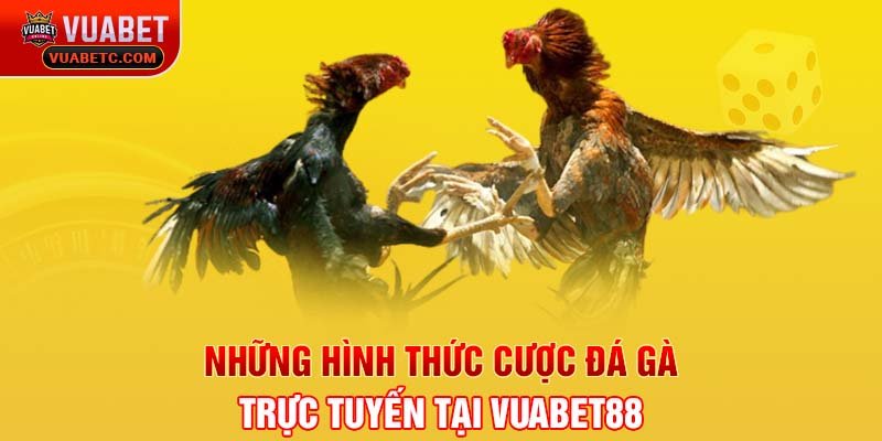 Những hình thức cược đá gà trực tuyến tại Vuabet88